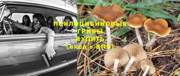прущие крисы Балахна