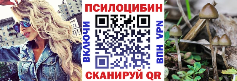 даркнет сайт  Пересвет  ОМГ ОМГ зеркало  Псилоцибиновые грибы Psilocybine cubensis 